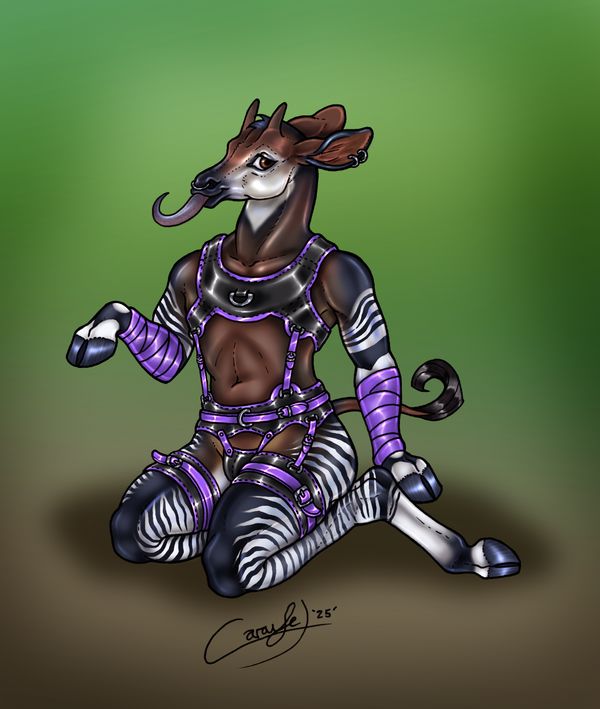 An anthro okapi sits on his ankles, wearing a snazzy harness of black with purple accents/strapping. His arms have matching purple wraps.
