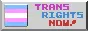 'Trans Rights Now!' next to a transgender pride flag